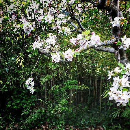 Casa Quevedo * Σαλαμάνκα