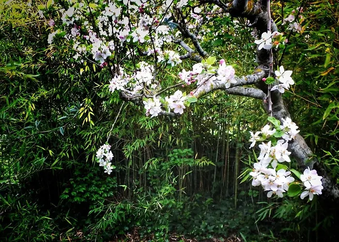 Casa Quevedo * Саламанка