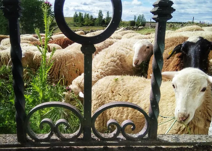 Casa Quevedo Vakantiehuis