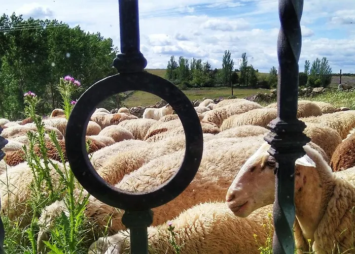 Дом отдыха Casa Quevedo Саламанка