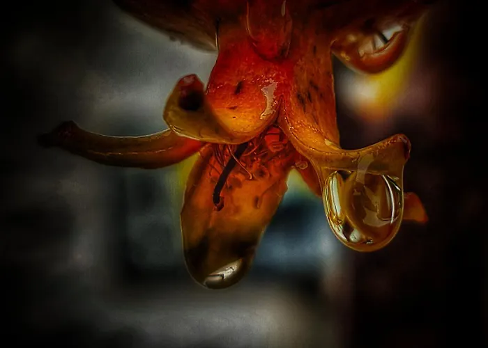 Casa Quevedo Дом отдыха Саламанка