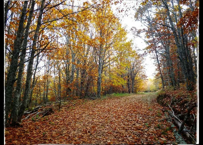 Casa Quevedo Дом отдыха *